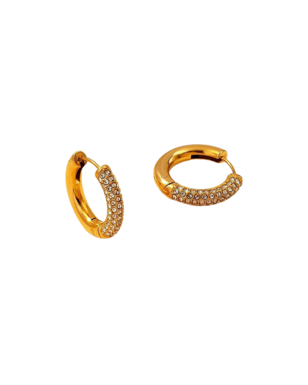 ARETES ALEJANDRA